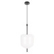 Подвесной светильник Loft IT Venice 10223/D White