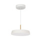 Подвесной светильник Arlight SP-ELEGANT-R300-17W Day4000 (WH, 120 deg, 230V) 033919(1)