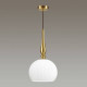 Подвесной светильник Odeon Light 4766/1