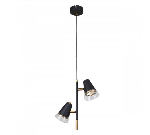 Подвесной светильник F-Promo Trandy 4618-2P Подвесной светильник F-Promo Trandy 4618-2P