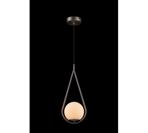 Подвесной светильник Loft IT GLOB LOFT2599-B