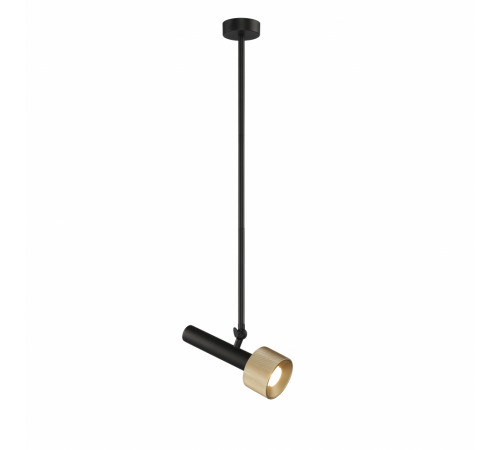 Подвесной светильник iLedex Delta 2361-1 BK+BR