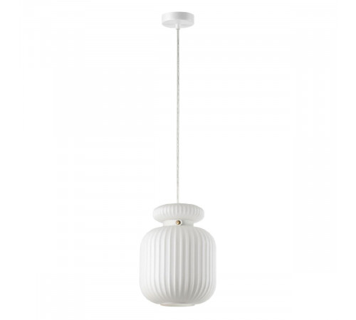 Подвесной светильник Odeon Light Jugi 5042/1C Подвесной светильник Odeon Light Jugi 5042/1C
