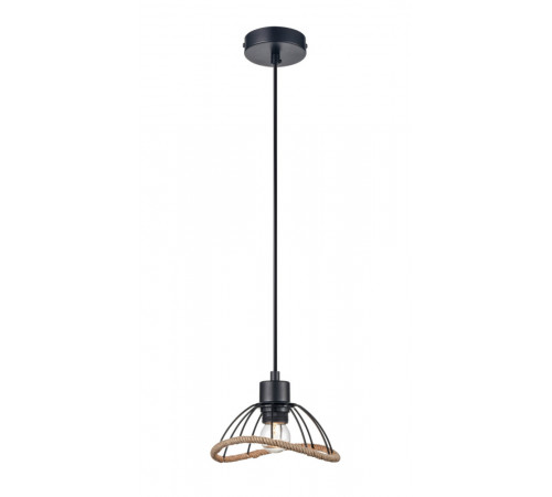 Подвесной светильник Vele Luce Formula VL6482P01