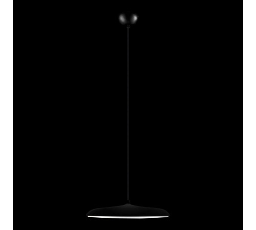 Подвесной светильник Loft IT Plato 10119 Black
