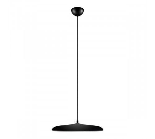 Подвесной светильник Loft IT Plato 10119 Black