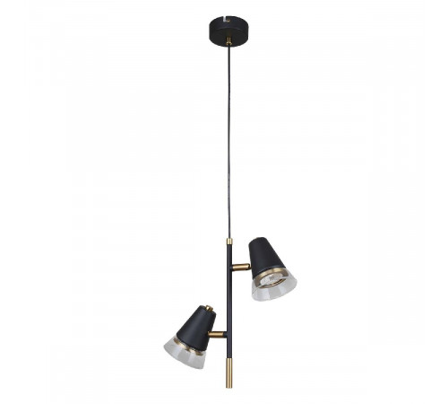 Подвесной светильник F-Promo Trandy 4618-2P Подвесной светильник F-Promo Trandy 4618-2P