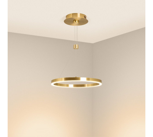 Подвесной светильник Arlight SP-CONGO-CAN-1-R400-24W Warm3000 (GD, 120 deg, 230V) 046209 Подвесной светильник Arlight SP-CONGO-CAN-1-R400-24W Warm3000 (GD, 120 deg, 230V) 046209