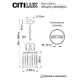 Подвесной светильник Citilux Инга CL335113