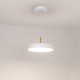 Подвесной светильник Arlight SP-Elegant-R300-17W Day4000 033919