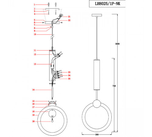 Подвесной светильник Lumien Hall Dorian LH8025/1P-NK Подвесной светильник Lumien Hall Dorian LH8025/1P-NK