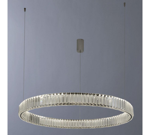 Подвесной светодиодный светильник Divinare Renata 1135/02 SP-48