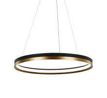 Подвесной светильник Delight Collection MD21001010 MD21001010-1B black/br.gold