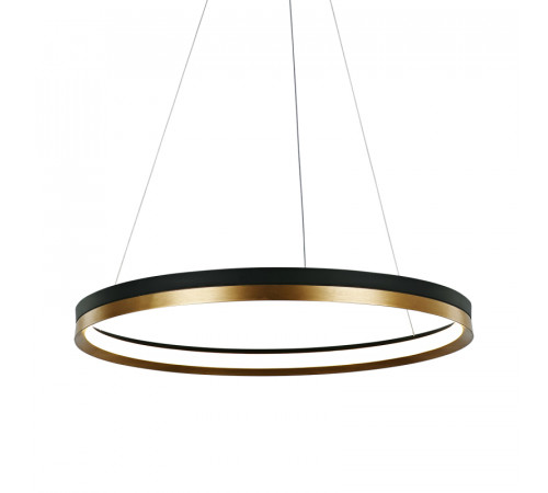 Подвесной светильник Delight Collection MD21001010 MD21001010-1B black/br.gold