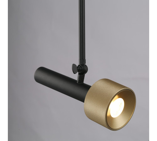Подвесной светильник iLedex Delta 2361-1 BK+BR