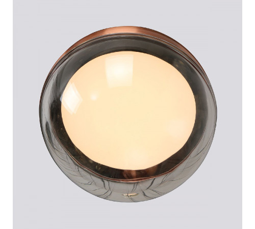 Подвесной светильник Favourite Luna 4371-1P Подвесной светильник Favourite Luna 4371-1P