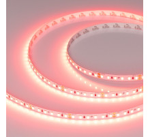 Светодиодная лента Arlight RT-A120-8mm 24V Scarlet (9.6 W/m, IP20, 2835, 5m) 043383