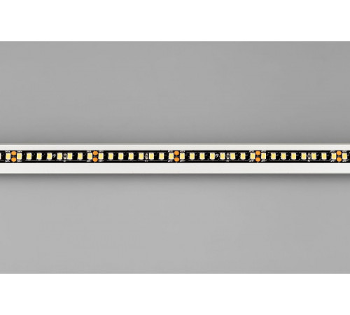 Светодиодная лента Arlight RT-A160-BLACK-8mm 24V Day4000 (12 W/m, IP20, 5m) 029427(2) Светодиодная лента Arlight RT-A160-BLACK-8mm 24V Day4000 (12 W/m, IP20, 5m) 029427(2)