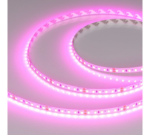 Светодиодная лента Arlight RT-A120-8mm 24V Magenta (9.6 W/m, IP20, 2835, 5m) 043381