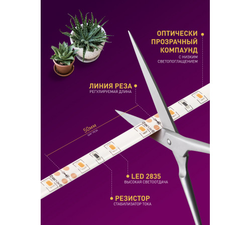 Светодиодная лента для растений Эра 18Вт 1400K 2м IP65 FITO-Strip Light-RB-2m красно-синего спектра Б0057282 Светодиодная лента для растений Эра 18Вт 1400K 2м IP65 FITO-Strip Light-RB-2m красно-синего спектра Б0057282