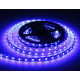 Светодиодная лента Ambrella Light Illumination 24В 5050 10Вт/м RGBW+4500K 5м IP20 GS4402