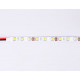 Светодиодная лента Ambrella Light Illumination 24В 5050 14,4Вт/м 6500K 5м IP20 GS4003