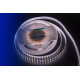 Светодиодная лента DesignLed DSG5120-24-NW-33 001133