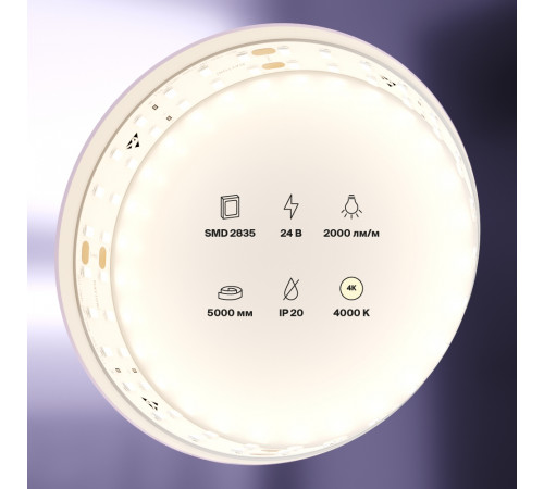 Светодиодная лента Maytoni Led Strip 24В 2835 20Вт/м 4000K 5м IP20 20029 Светодиодная лента Maytoni Led Strip 24В 2835 20Вт/м 4000K 5м IP20 20029