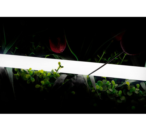 Светодиодная лента SWG 2835 360 LED/м 16 Вт/м 24В 4000K IP66 013284 Светодиодная лента SWG 2835 360 LED/м 16 Вт/м 24В 4000K IP66 013284