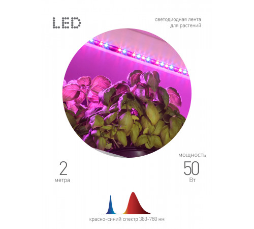 Светодиодная лента для растений Эра 18Вт 1400K 2м IP65 FITO-Strip Light-RB-2m красно-синего спектра Б0057282 Светодиодная лента для растений Эра 18Вт 1400K 2м IP65 FITO-Strip Light-RB-2m красно-синего спектра Б0057282