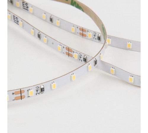 Светодиодная лента Elektrostandard 24V 8W 120Led 2116 IP20 холодный белый 5м 4690389176685 Светодиодная лента Elektrostandard 24V 8W 120Led 2116 IP20 холодный белый 5м 4690389176685