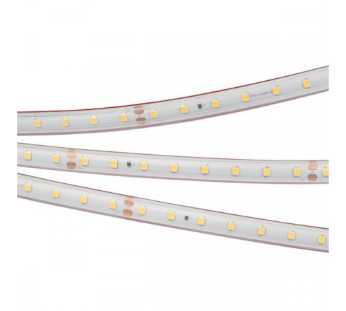 Светодиодная лента Arlight Rtw-se-a60-8mm 2835 024530(2) Светодиодная лента Arlight Rtw-se-a60-8mm 2835 024530(2)