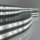 Светодиодная лента Elektrostandard 24V 4,8W 60Led 2835 IP65 холодный белый, 5м 4690389167843