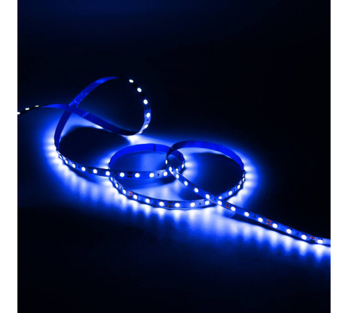 Светодиодная лента Gauss 4,8W/m 60LED/m 2835SMD синий 5M 312000505 Светодиодная лента Gauss 4,8W/m 60LED/m 2835SMD синий 5M 312000505