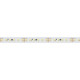 Светодиодная лента Arlight IC2-A120-12mm 24V White6000 (9.6W/m, IP20, 2835, 20m) 024589(1)