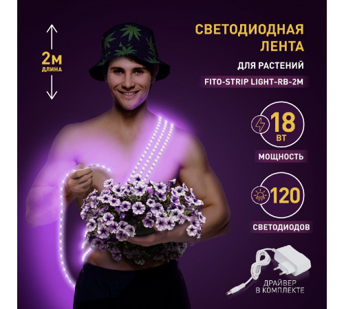 Светодиодная лента для растений Эра 18Вт 1400K 2м IP65 FITO-Strip Light-RB-2m красно-синего спектра Б0057282 Светодиодная лента для растений Эра 18Вт 1400K 2м IP65 FITO-Strip Light-RB-2m красно-синего спектра Б0057282