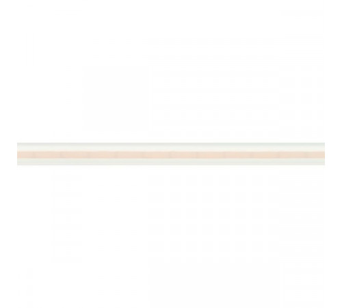 Светодиодная лента герметичная Arlight COB-PL60-X544-12mm 24V Warm3000 031915(2) Светодиодная лента герметичная Arlight COB-PL60-X544-12mm 24V Warm3000 031915(2)
