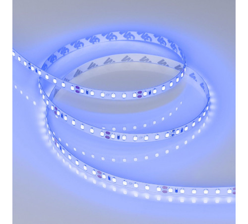 Светодиодная лента Arlight RT-A120-8mm 24V Blue (9.6 W/m, IP20, 2835, 5m) 008783(3) Светодиодная лента Arlight RT-A120-8mm 24V Blue (9.6 W/m, IP20, 2835, 5m) 008783(3)