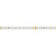 Светодиодная лента Arlight RT-A80-8mm 24V Warm3000 (6 W/m, IP20, 2835, 50m) 024525(2)