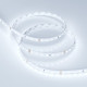 Светодиодная лента Arlight RT-A98-8mm 24V Cool 8K (10 W/m, IP20, 2835, 5m) 019912(2)