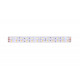 Светодиодная лента DesignLed DSG5120-24-RGB+WW-33 001134