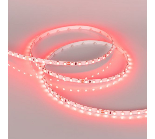 Светодиодная лента Arlight RT-A120-5mm 24V Red (9.6 W/m, IP20, 2835, 5m) 015657(2) Светодиодная лента Arlight RT-A120-5mm 24V Red (9.6 W/m, IP20, 2835, 5m) 015657(2)