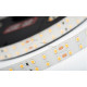 Светодиодная лента Arlight 019091