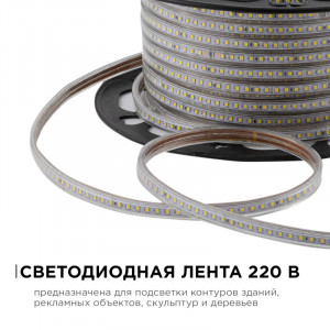 Светодиодная лента Apeyron Эконом 220В 2835 7Вт/м 6500К 50м IP65 O17-09