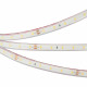 Светодиодная герметичная лента Arlight RTW-PFS-A60-11mm 24V Green (4.8 W/m, IP68, 2835, 5m) 034181