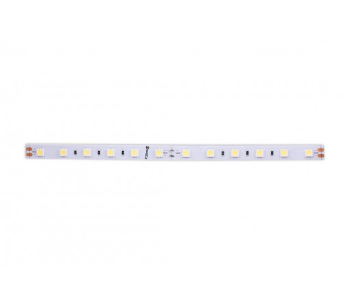 Светодиодная лента DesignLed DSG560-24-W-33 000520