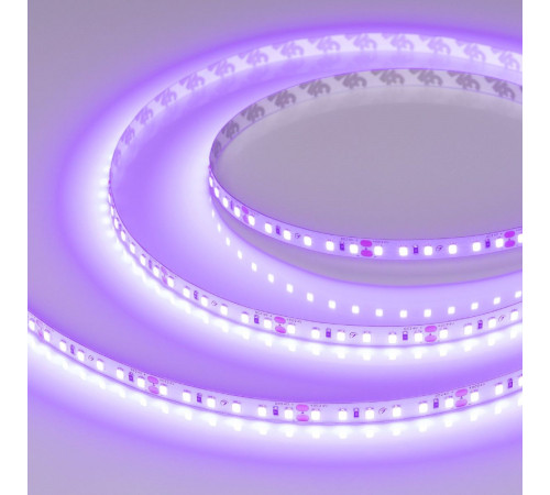 Светодиодная лента Arlight RT-A120-8mm 24V Violet (9.6 W/m, IP20, 2835, 5m) 043384 Светодиодная лента Arlight RT-A120-8mm 24V Violet (9.6 W/m, IP20, 2835, 5m) 043384