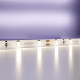 Светодиодная лента Maytoni Led Strip 12В 2835 4,8Вт/м 4000K 5м IP20 20008
