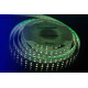 Светодиодная лента DesignLed DSG5120-24-RGB+W-33 000514