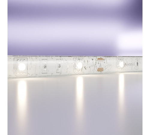 Светодиодная лента Maytoni Technical 12В 5050 7,2Вт/м 4000K IP65 10124 Светодиодная лента Maytoni Technical 12В 5050 7,2Вт/м 4000K IP65 10124